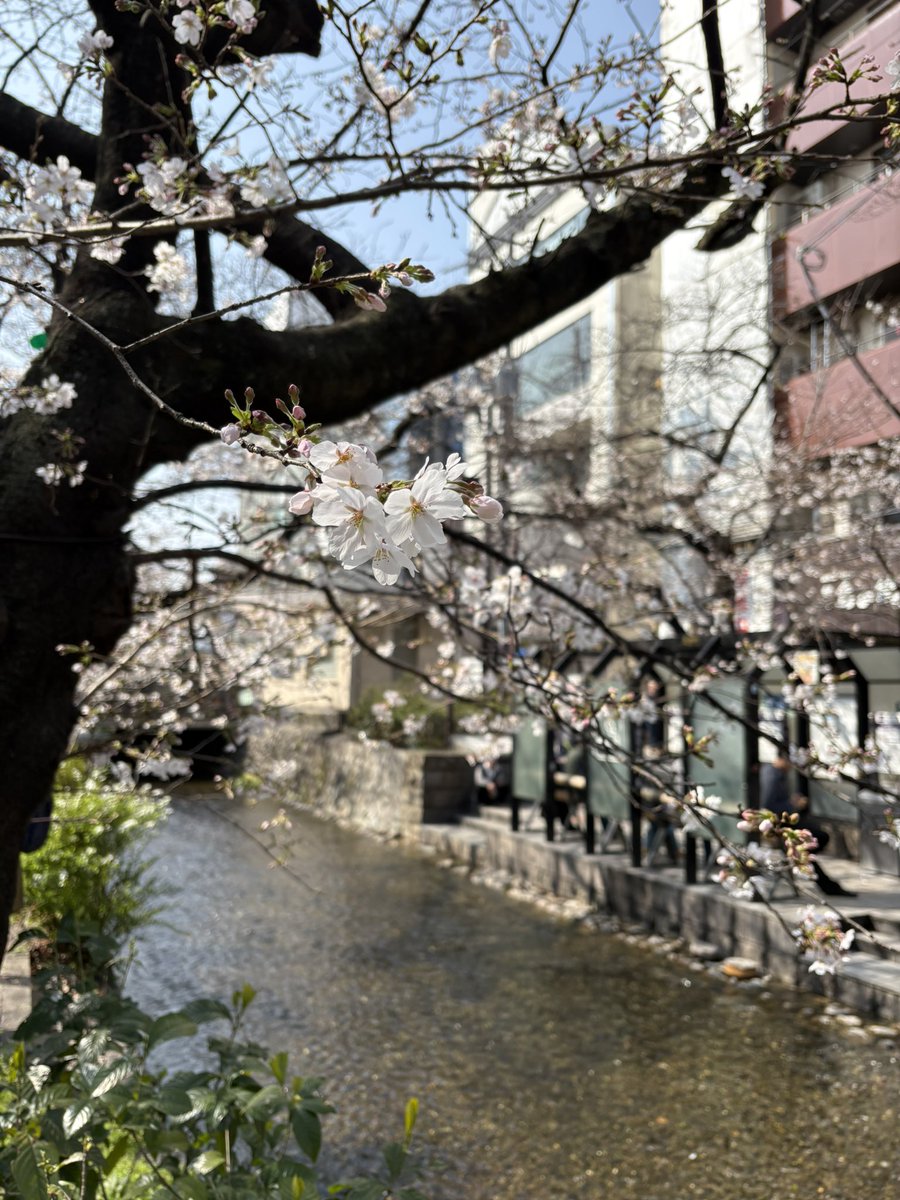 砂の壁 tweet media