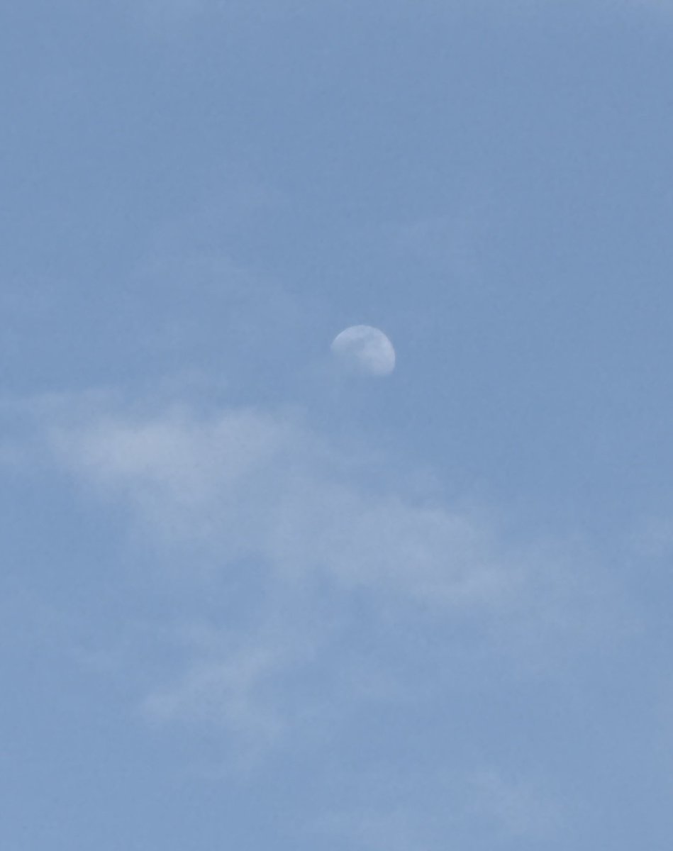 カズエナガ tweet media