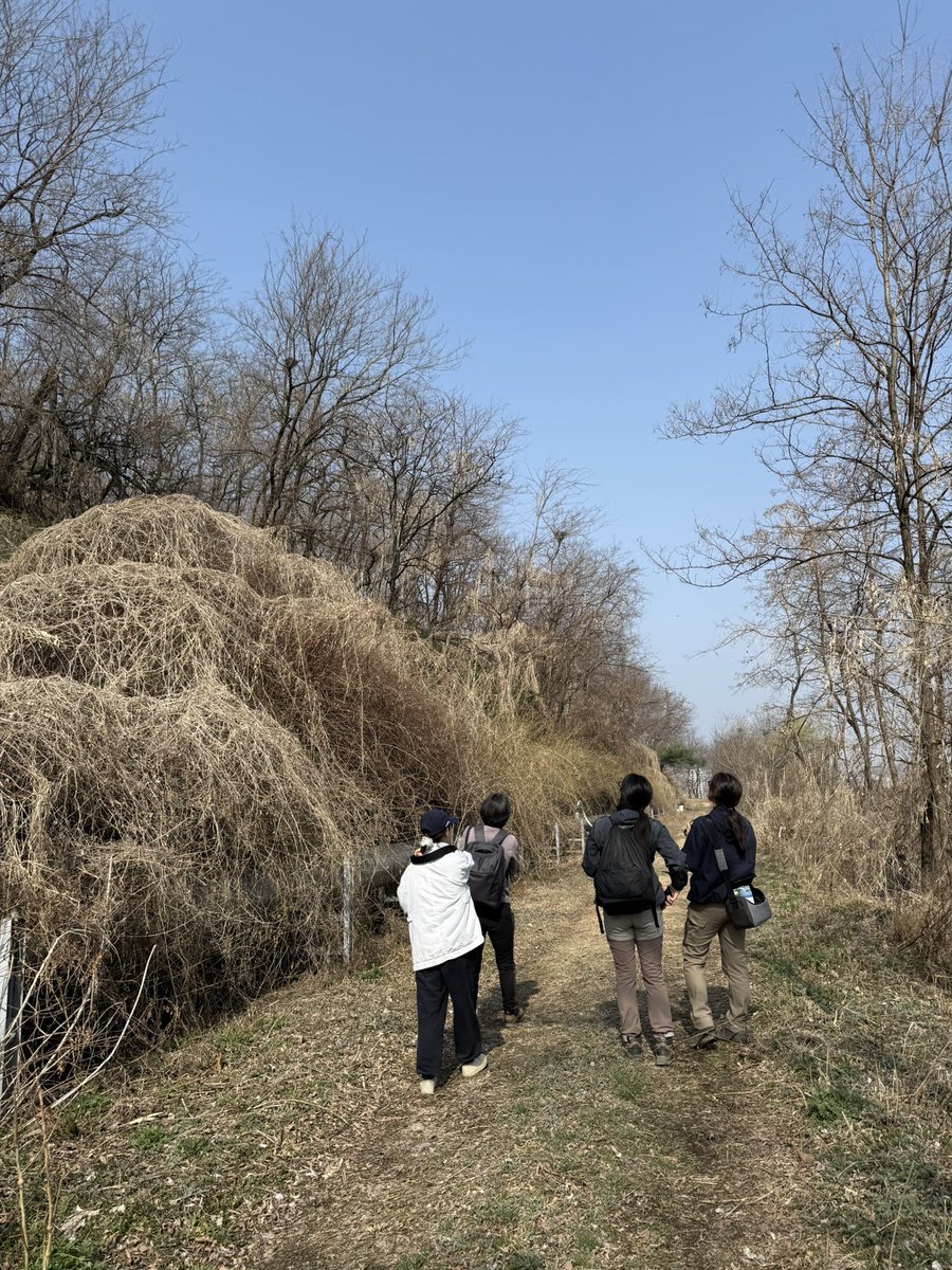 계정잃은낌봄보 tweet media