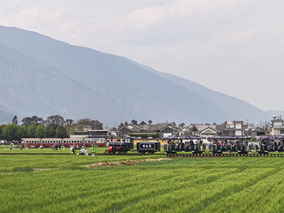 丽江洛洛 tweet media