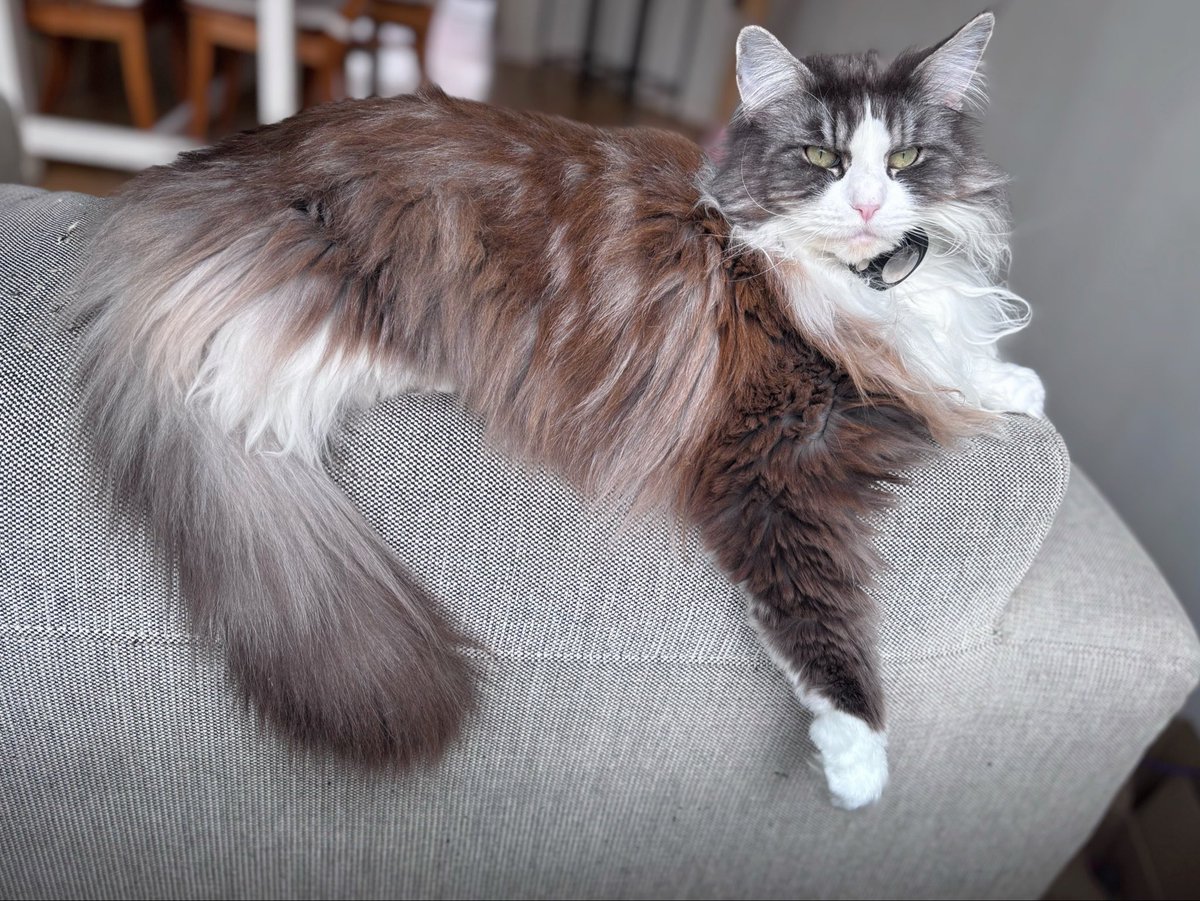 Keykisa2 tweet media