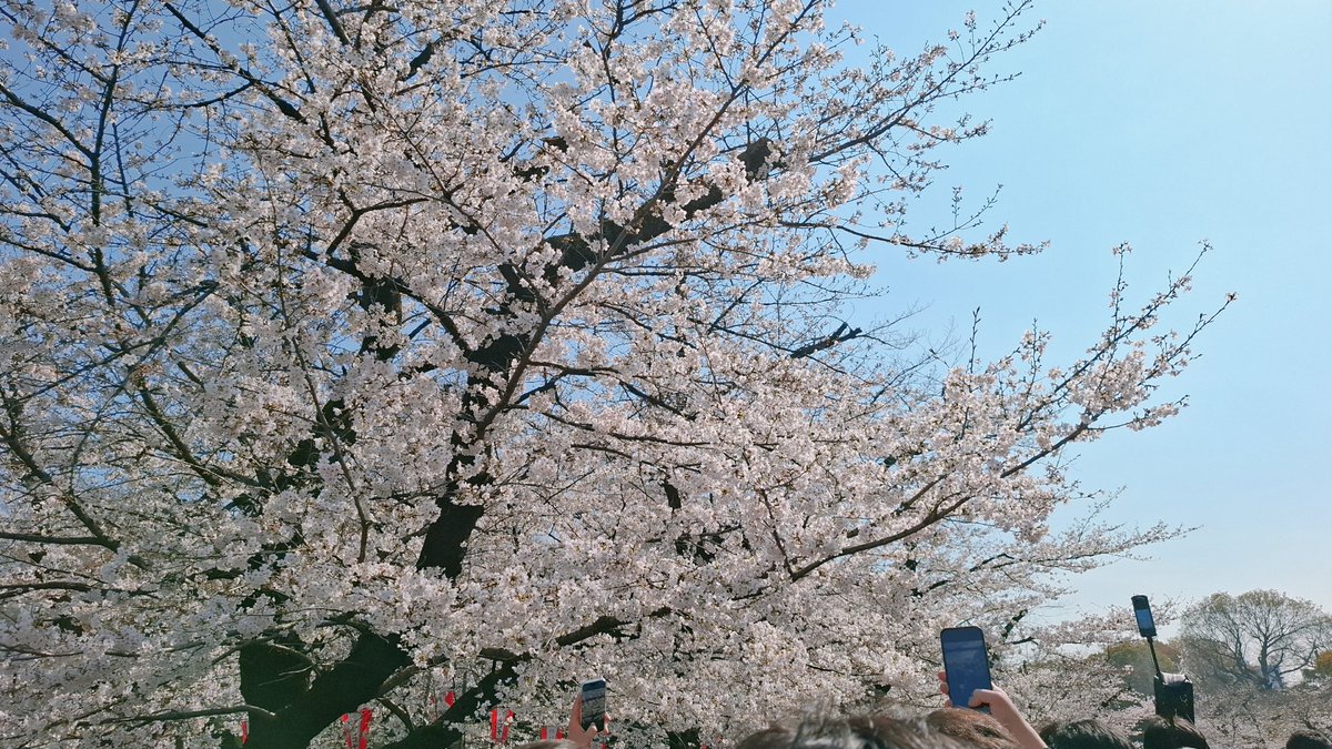 Doraちゃん【てぺそねの会鹿児島支部会員番号0-07】 tweet media