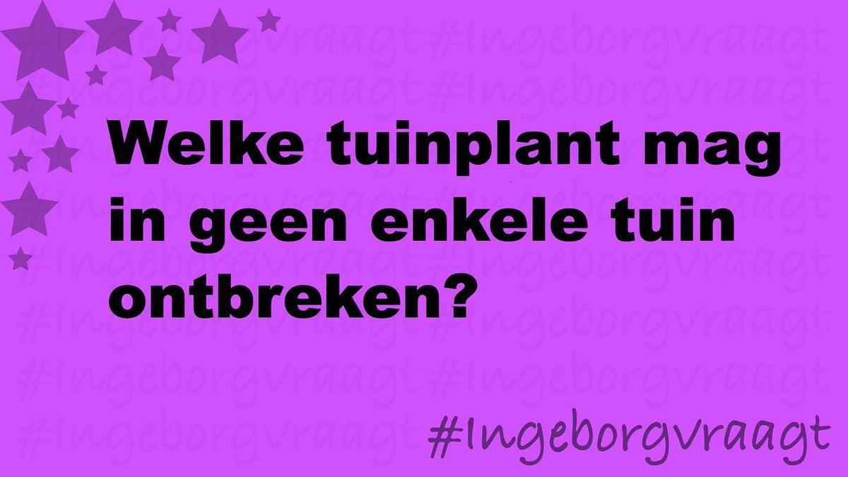 #IngeborgVraagt🍀😇 tweet media