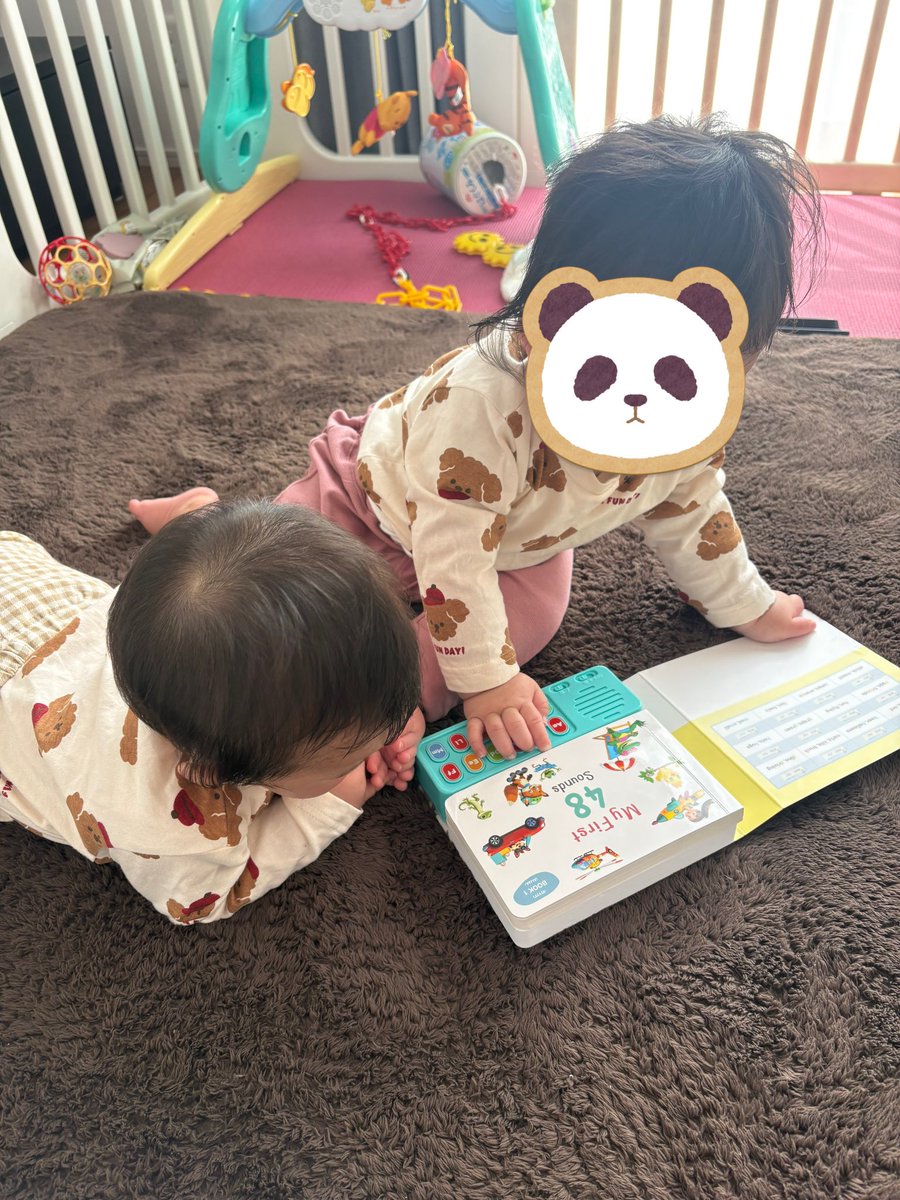 バイリンガルベイビー　My first 48 sounds 絵本　知育　英会話 英語デビューBOX ｜英語育児の新しいミカタ。 | レバイン式子育て公式