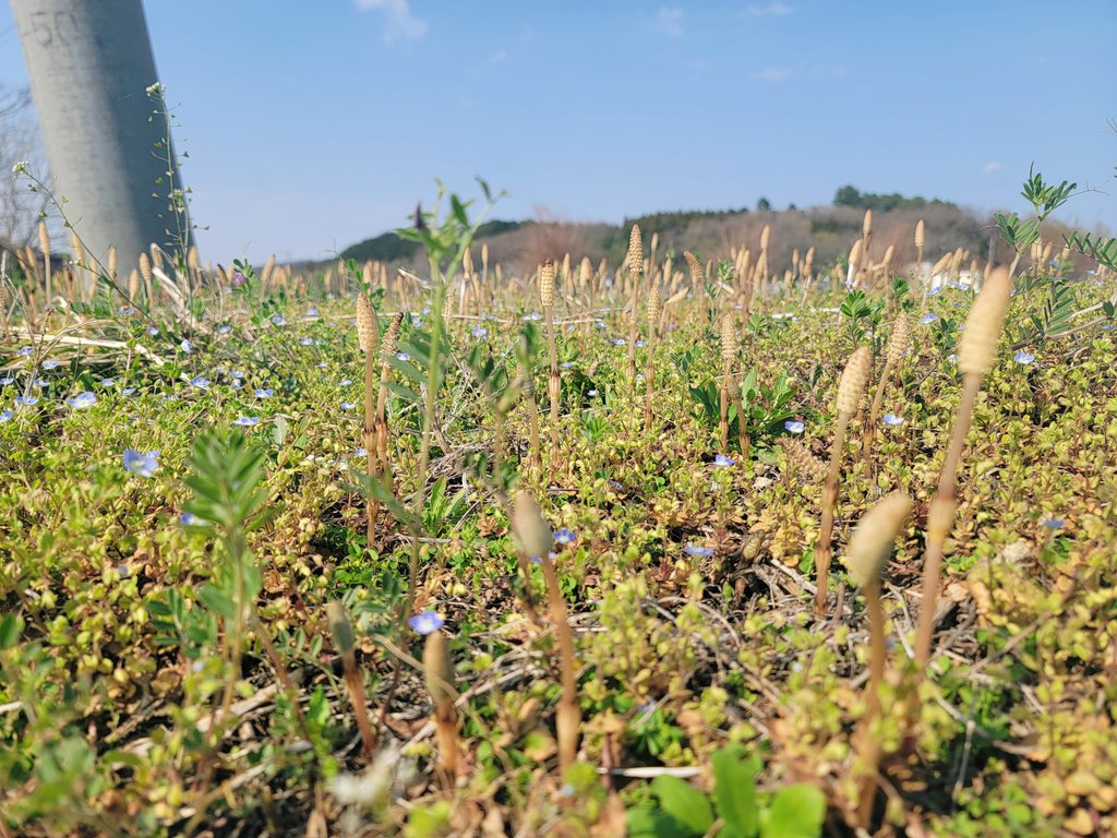 宇和川 恵美@ハリウッド式音声学ボイトレ&スマイルMFT認定トレーナー tweet media