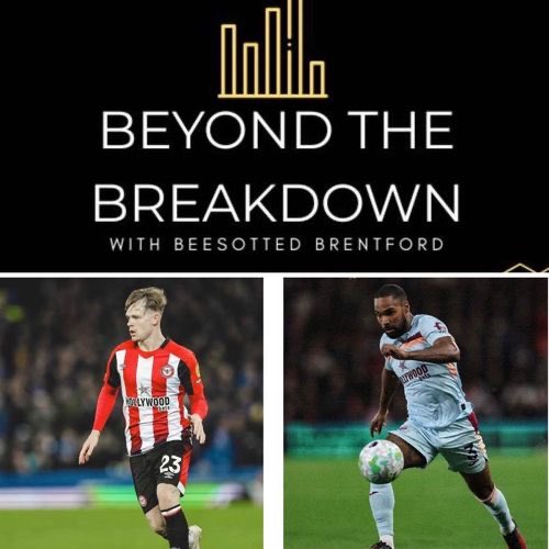 Beesotted Brentford tweet media