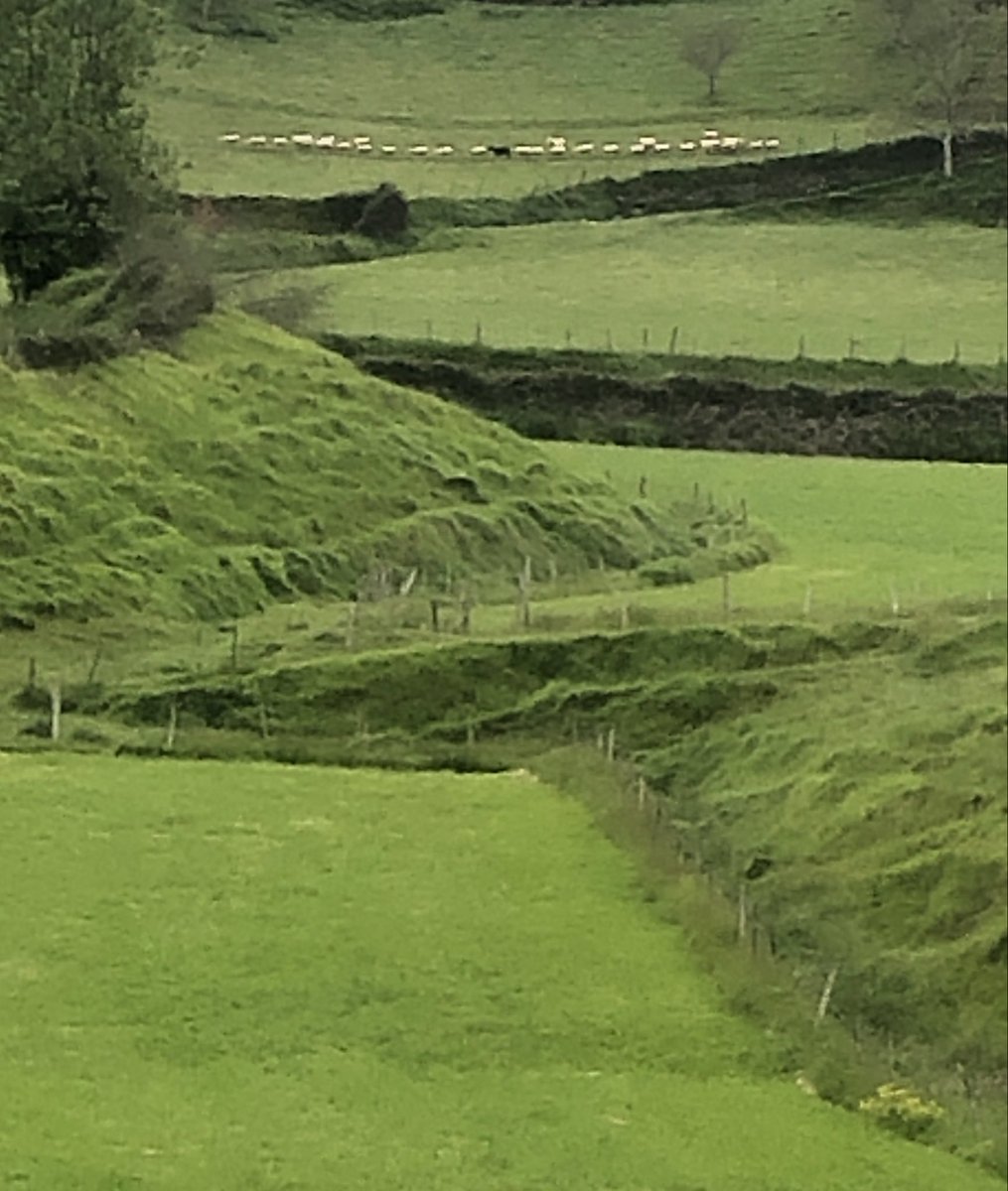 Jose Mari Azpiazu tweet media