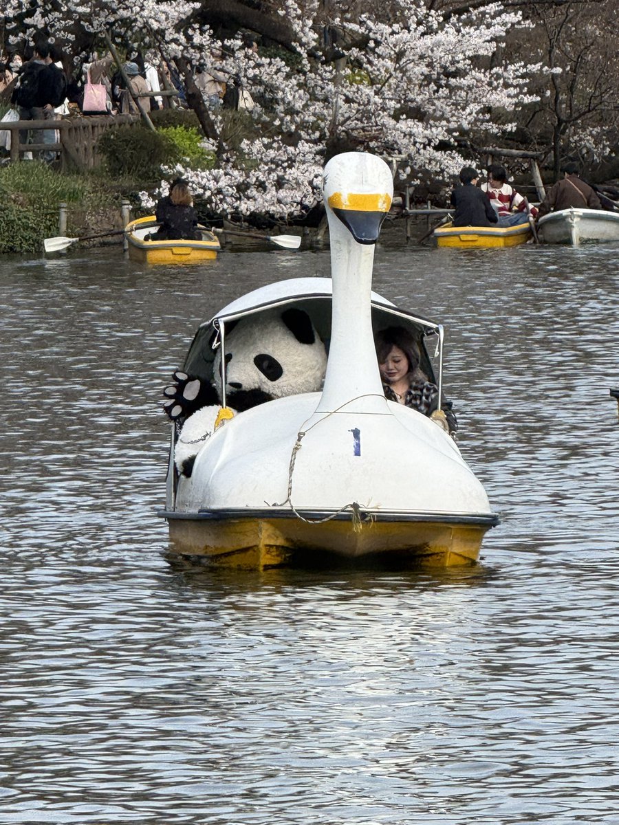 makeuma bajitofu tweet media