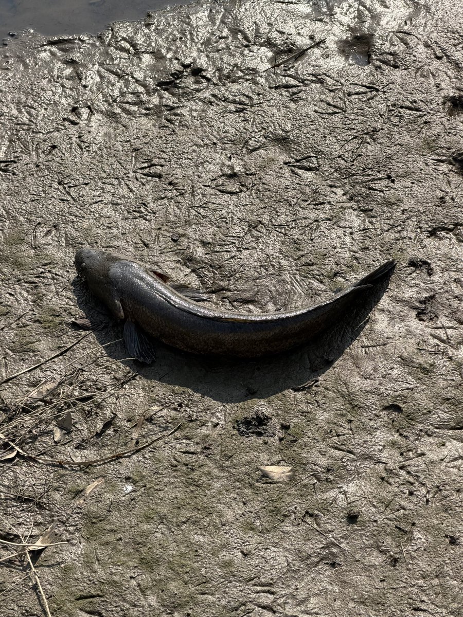 HIDE　NAKA tweet media