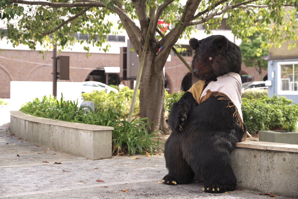 ぬいたち@リアルな着ぐるみ作り方本&着ぐるみ遊び方本通販中 tweet media