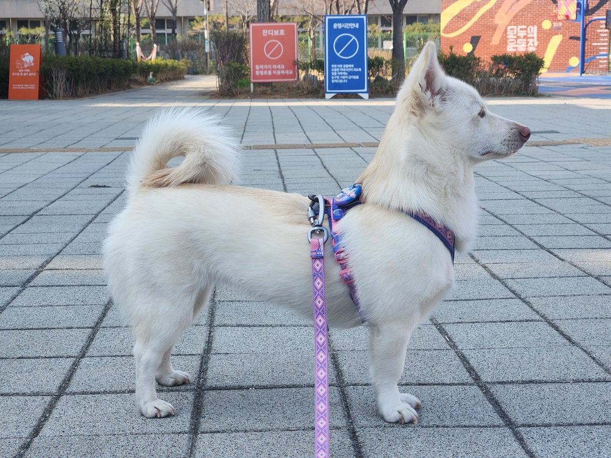 설이 & 설이언니 tweet media