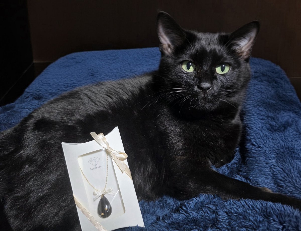 夢見里 龍 tweet media