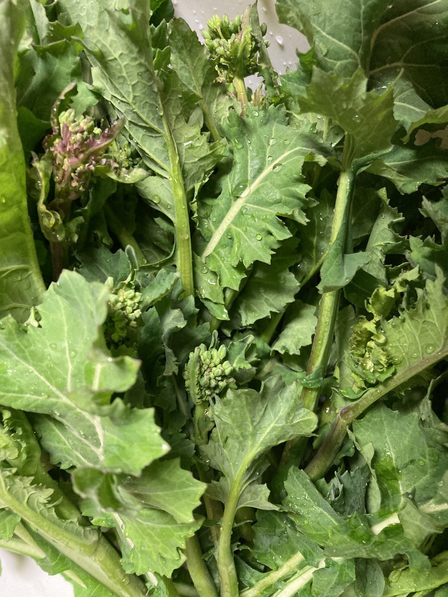 まるまる@お疲れちゃん tweet media