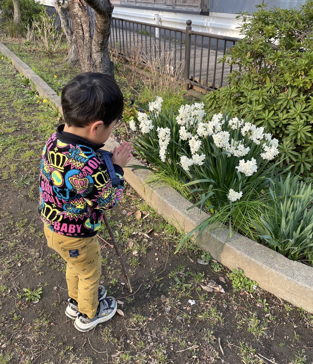 ゴンゾウR4 tweet media