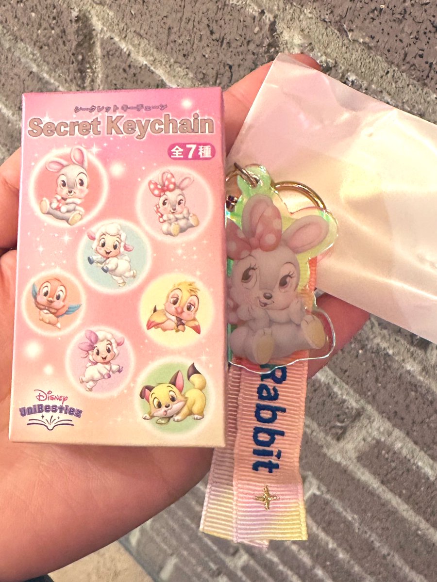 cmcmmzcm's tweet photo. @1
【交換】
ディズニーストア　ユニベスティーズ
シークレットキーチェーン

【譲】エインラビット
　　
【求】シアシープ

舞浜での手渡し希望です
お気軽にお声掛けお願いします😌♡ https://t.co/Jz8F9HcYJx