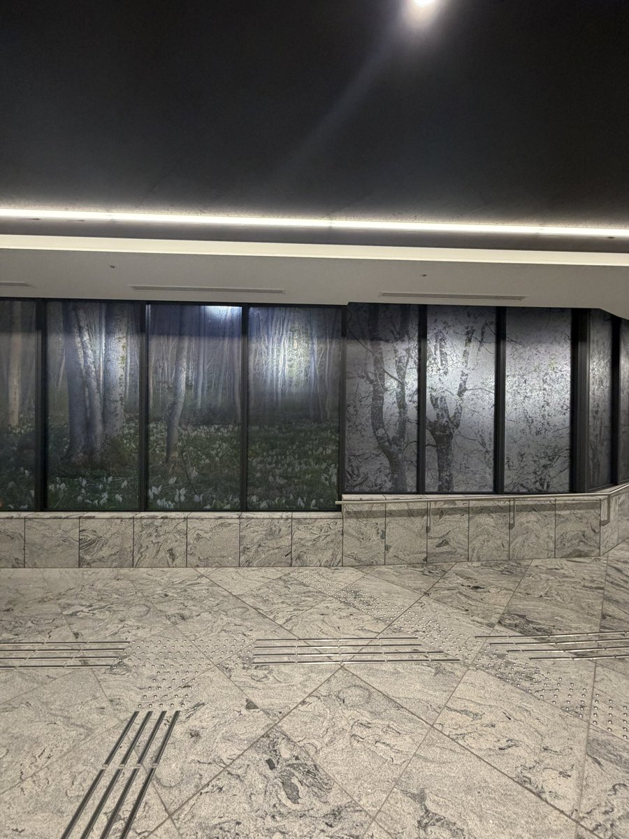 柳楽 航平 | Kohei NAGIRA tweet media