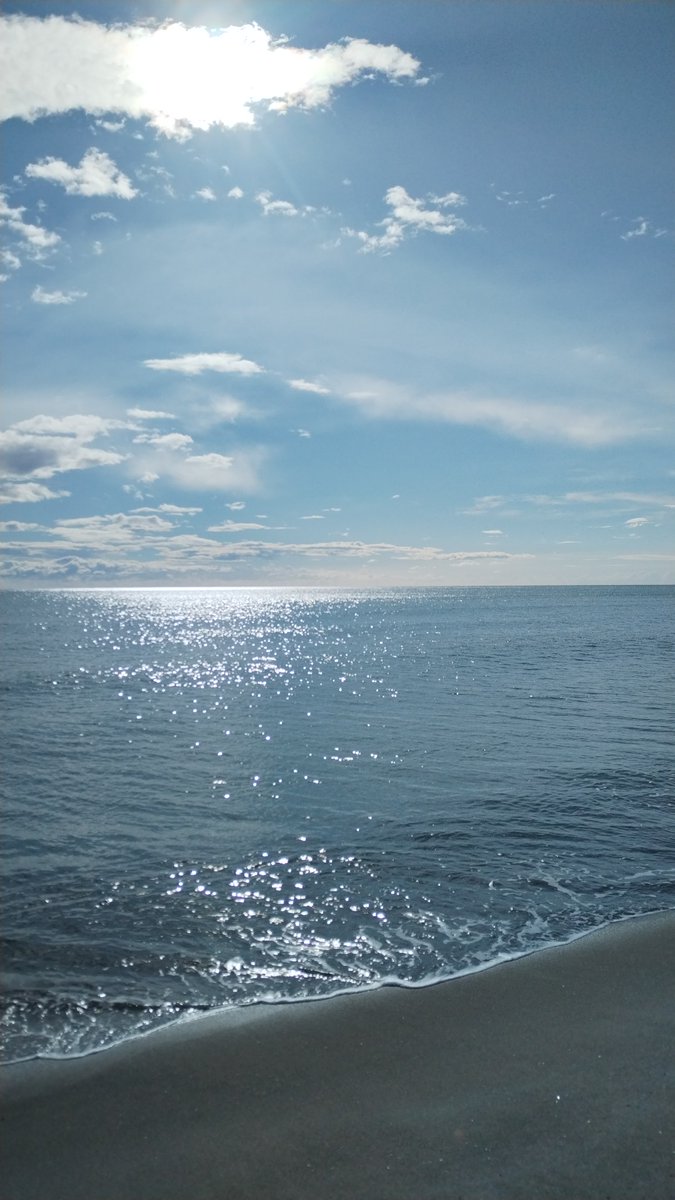 ghirigoro rogighiro  tweet media