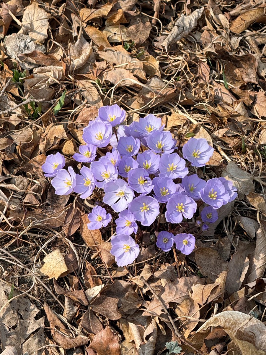 이소영 tweet media