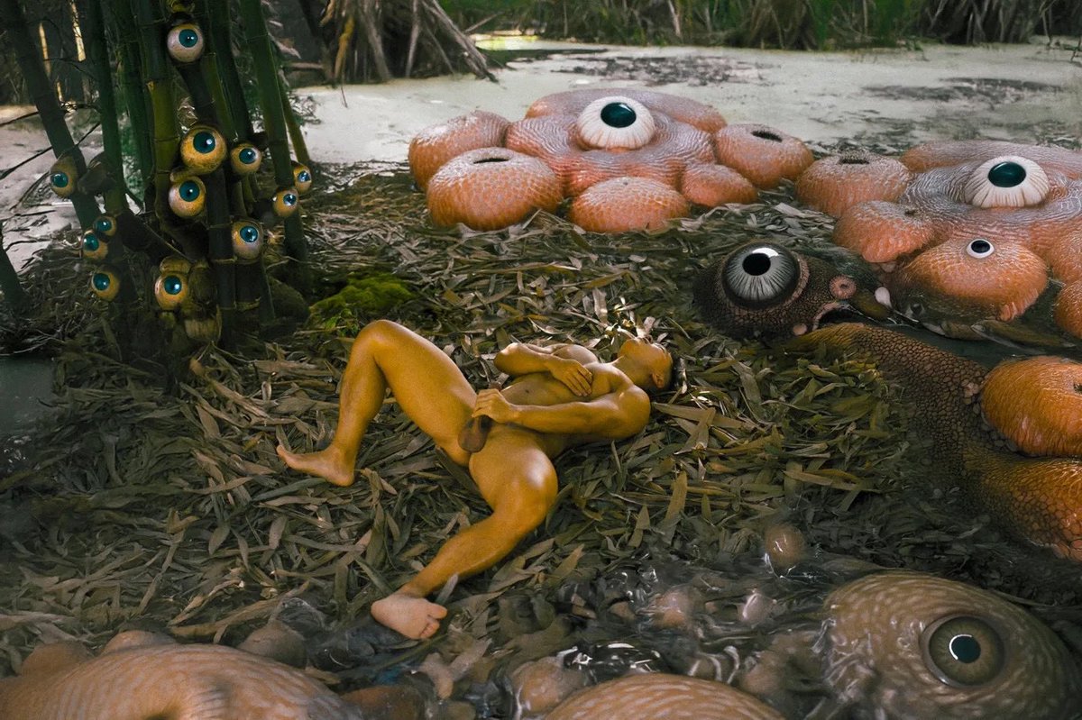 FOREST ALBUM 🏳️‍🌈 tweet media