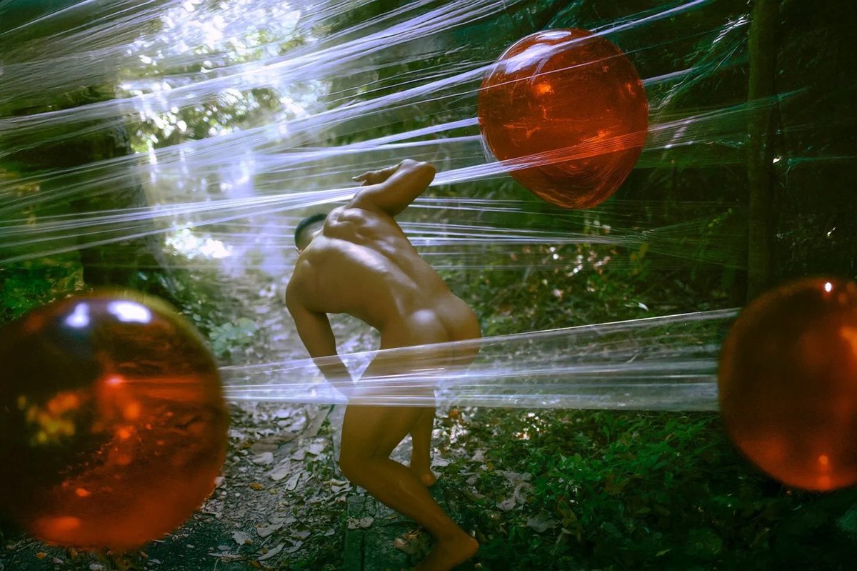 FOREST ALBUM 🏳️‍🌈 tweet media