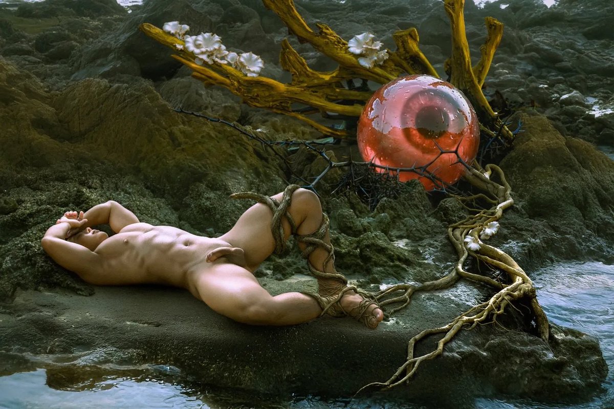 FOREST ALBUM 🏳️‍🌈 tweet media