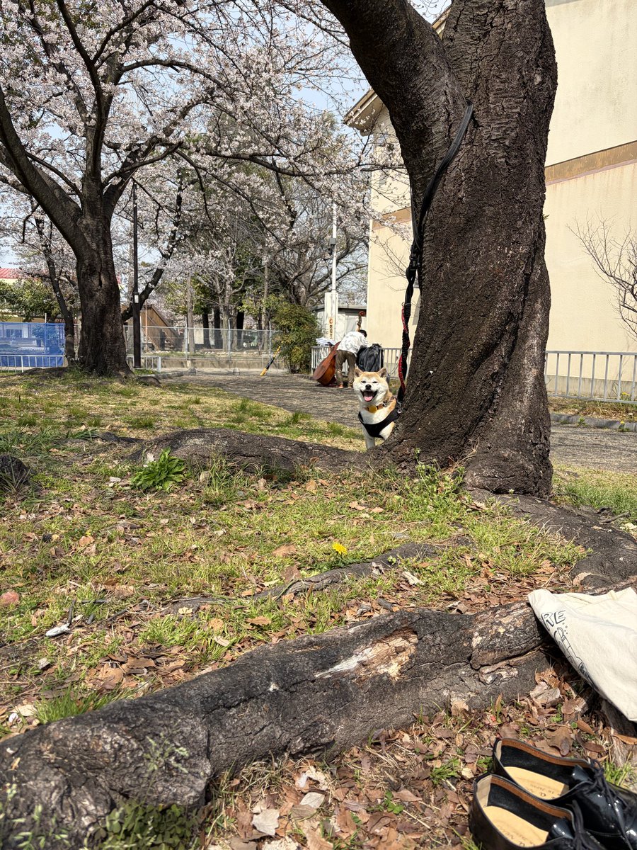 Kano Hiroaki（加納広明） tweet media