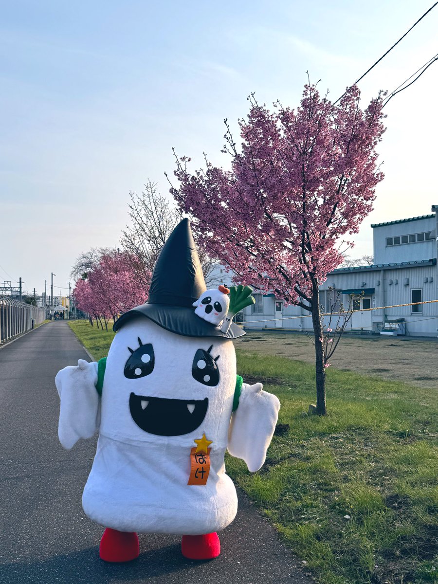 かつき tweet media