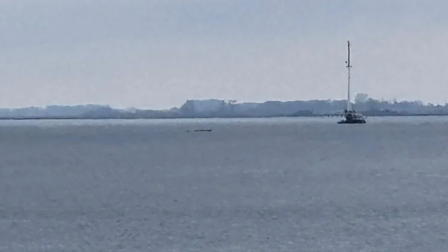 eugyppius tweet media