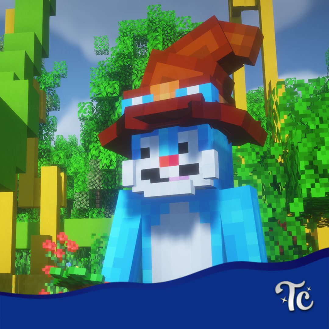 ToverCraft tweet media