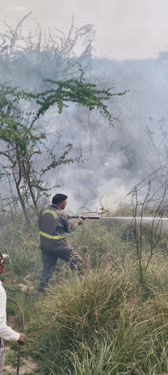 Hamirpur Fire & Emergency Services tweet media