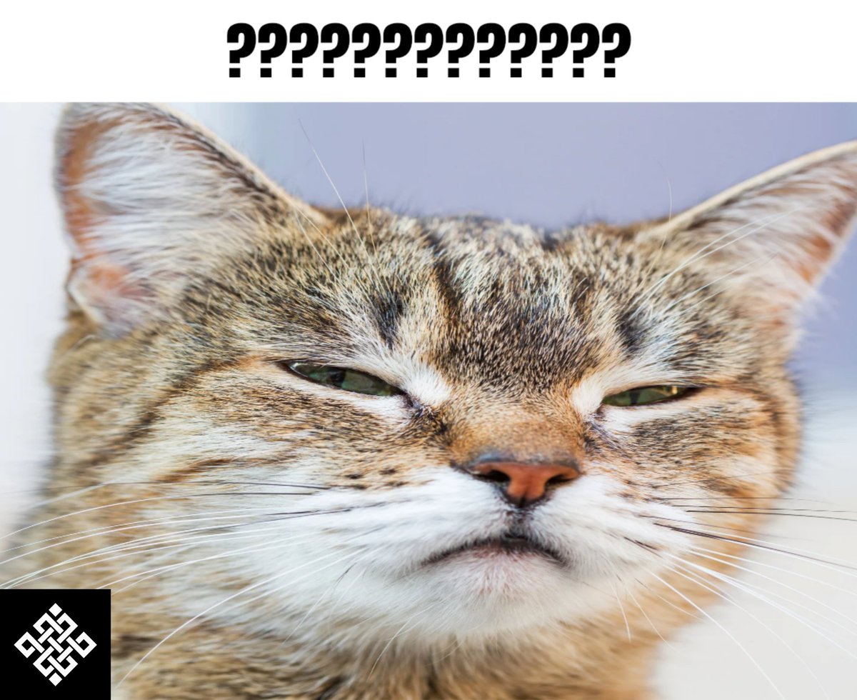 MD RIFAT tweet media