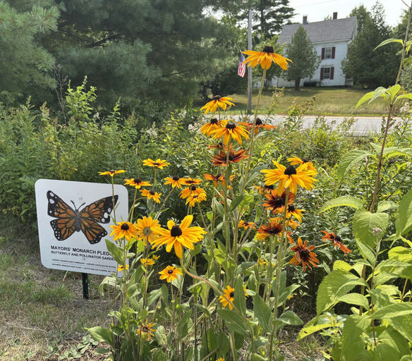 National Wildlife Federation tweet media