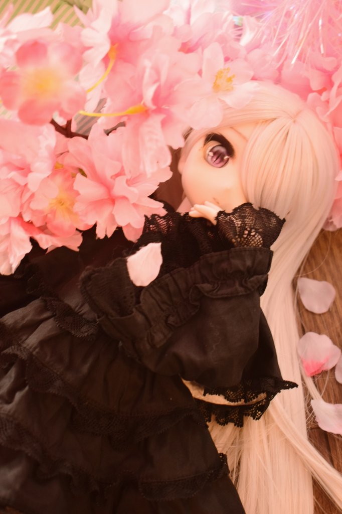 にくまる tweet media