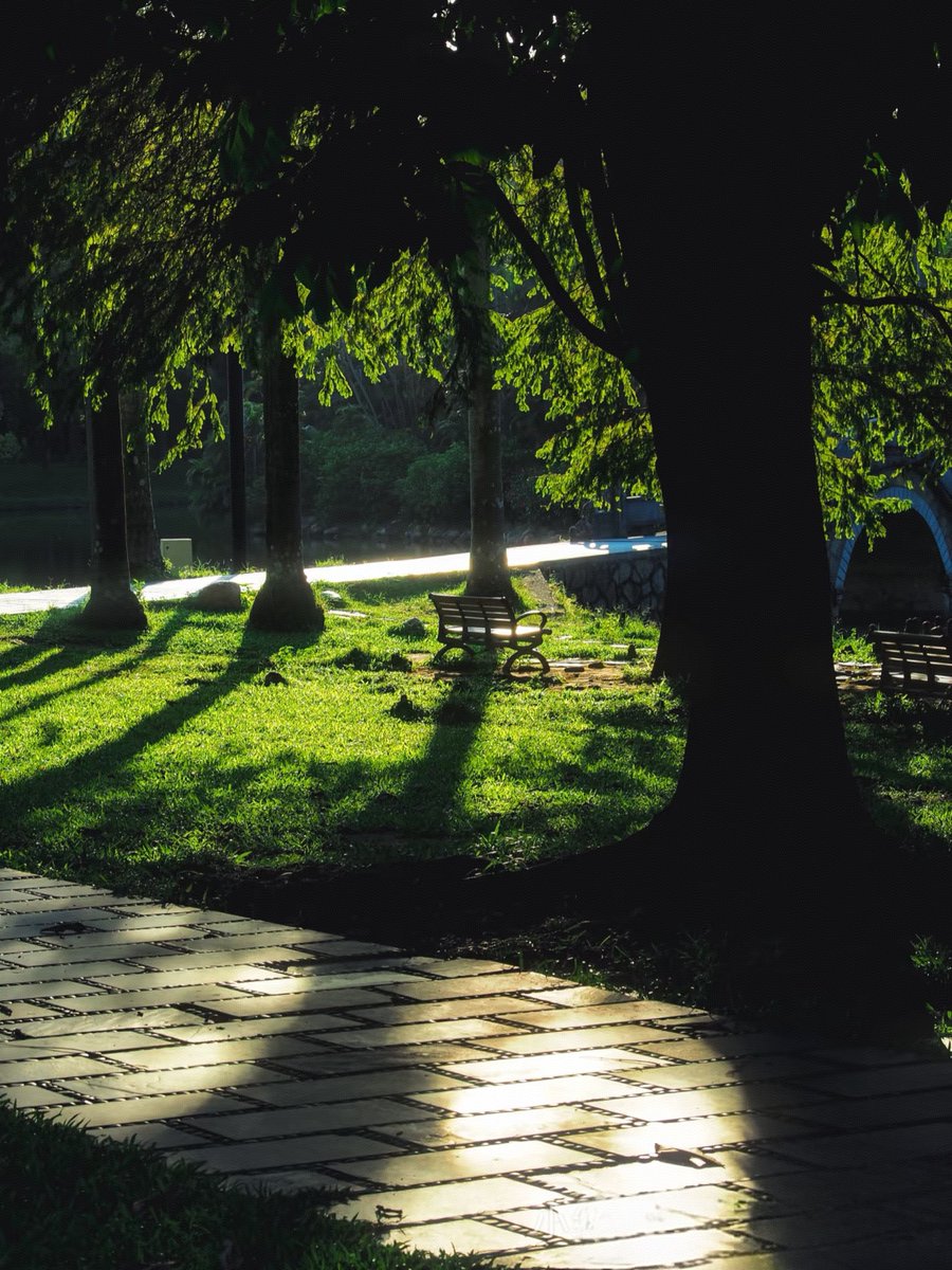 joei spencer tweet media