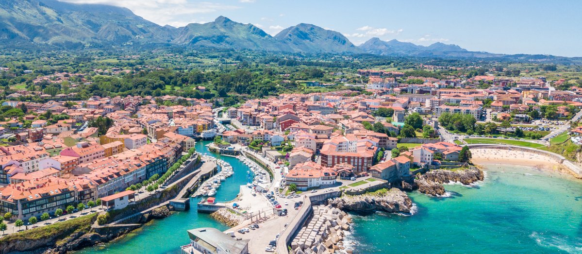 Alessandro Palombo tweet media