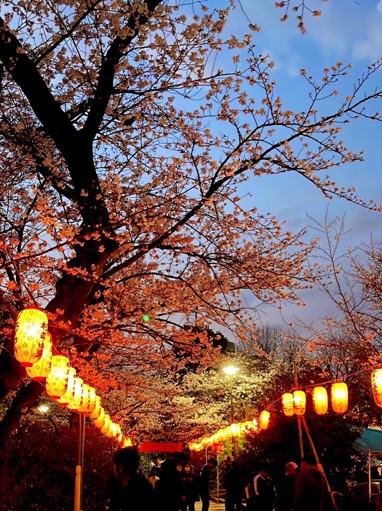 すずお桃少佐@🍑JAPANJAM2026.5.5🍀 tweet media