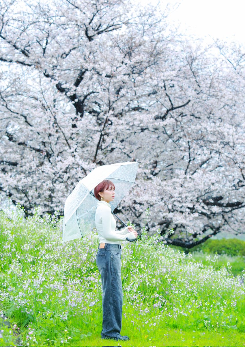 kurowasan11's tweet photo. 2023年桜(追加)
モデル　りりかさん https://t.co/jcQlcgE0dm