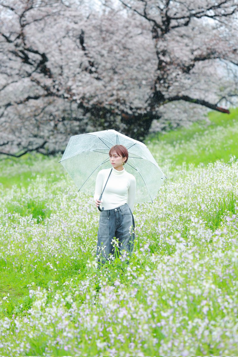 kurowasan11's tweet photo. 2023年桜(追加)
モデル　りりかさん https://t.co/jcQlcgE0dm