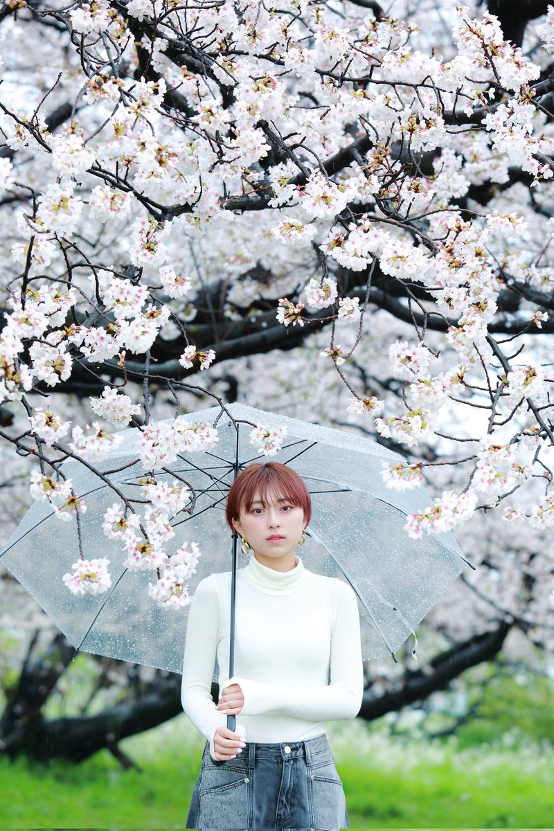 kurowasan11's tweet photo. 2023年桜(追加)
モデル　りりかさん https://t.co/jcQlcgE0dm