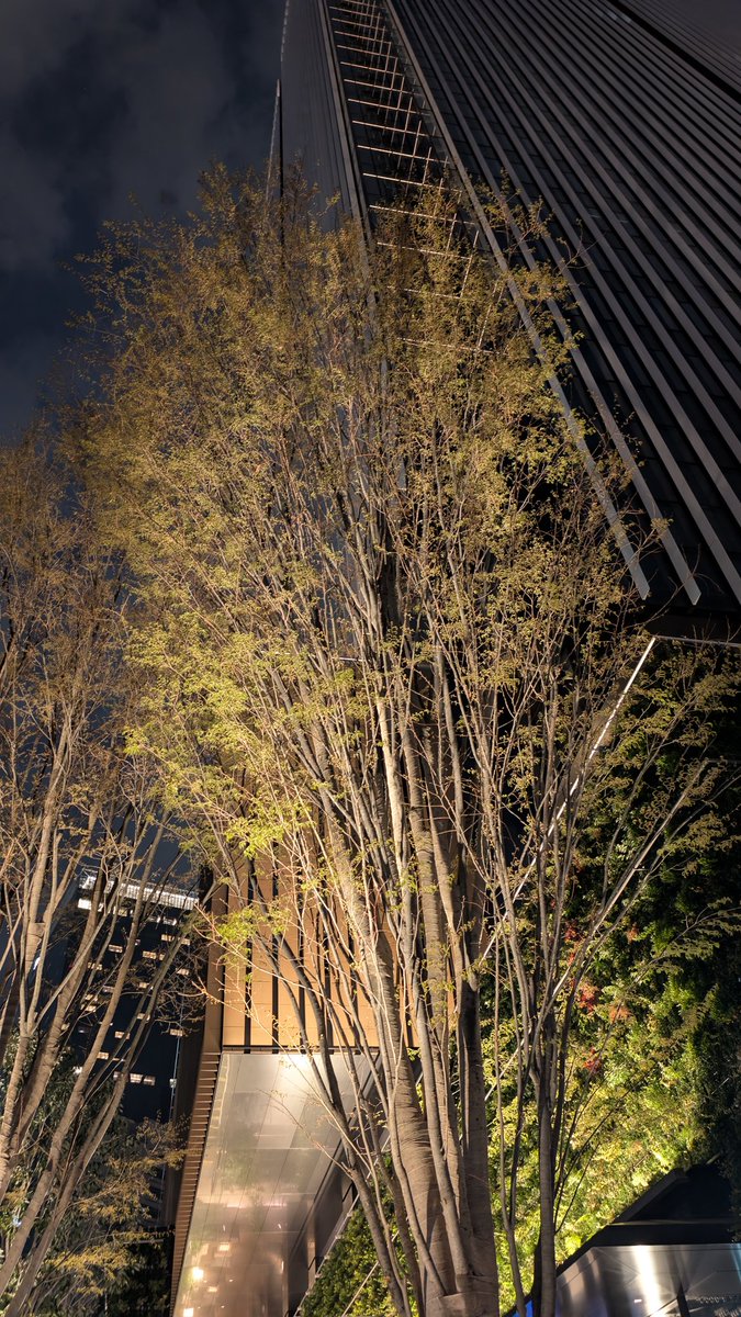 しおこしょう tweet media