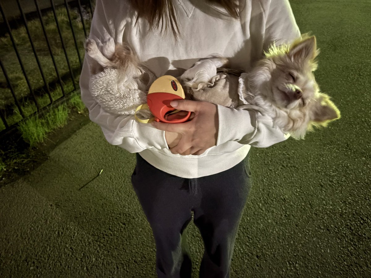 うぇる tweet media