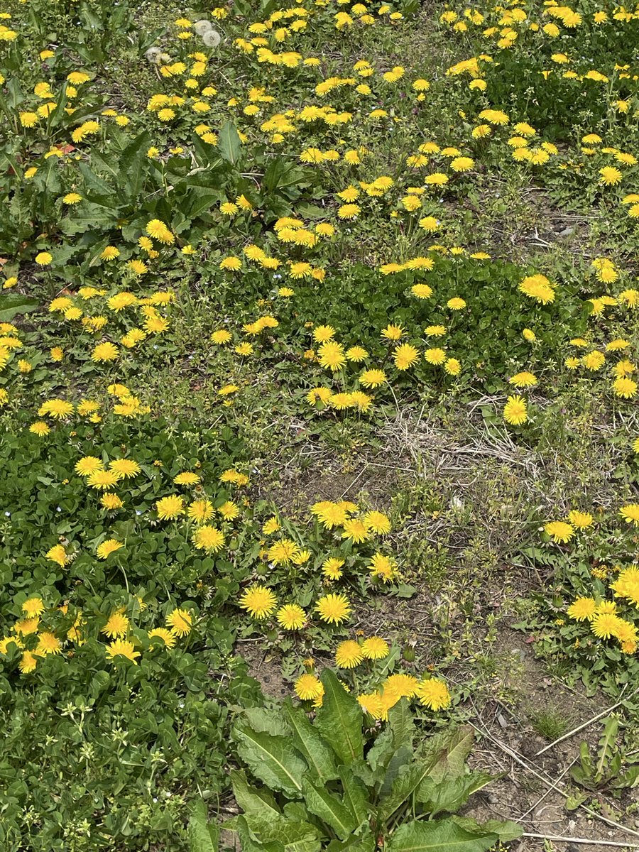 wanonano tweet media