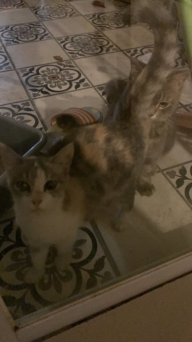 kasih masuk jgn yaa, nakal banget soalnya gakuat😢