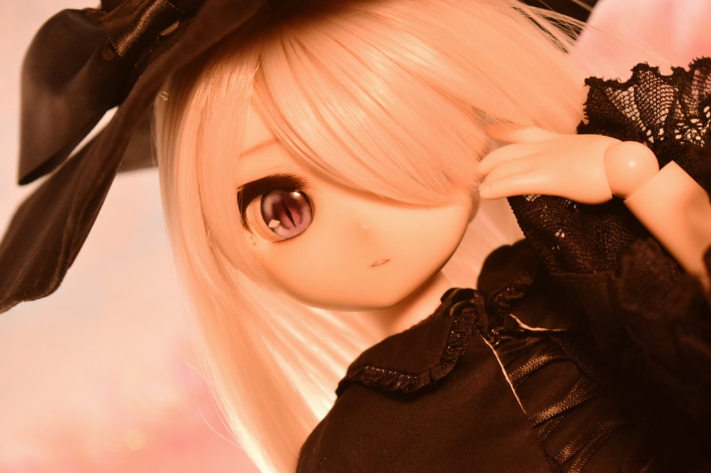 にくまる tweet media