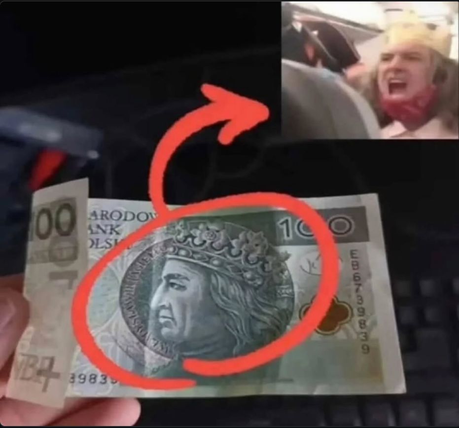 Braindead Bird App tweet media