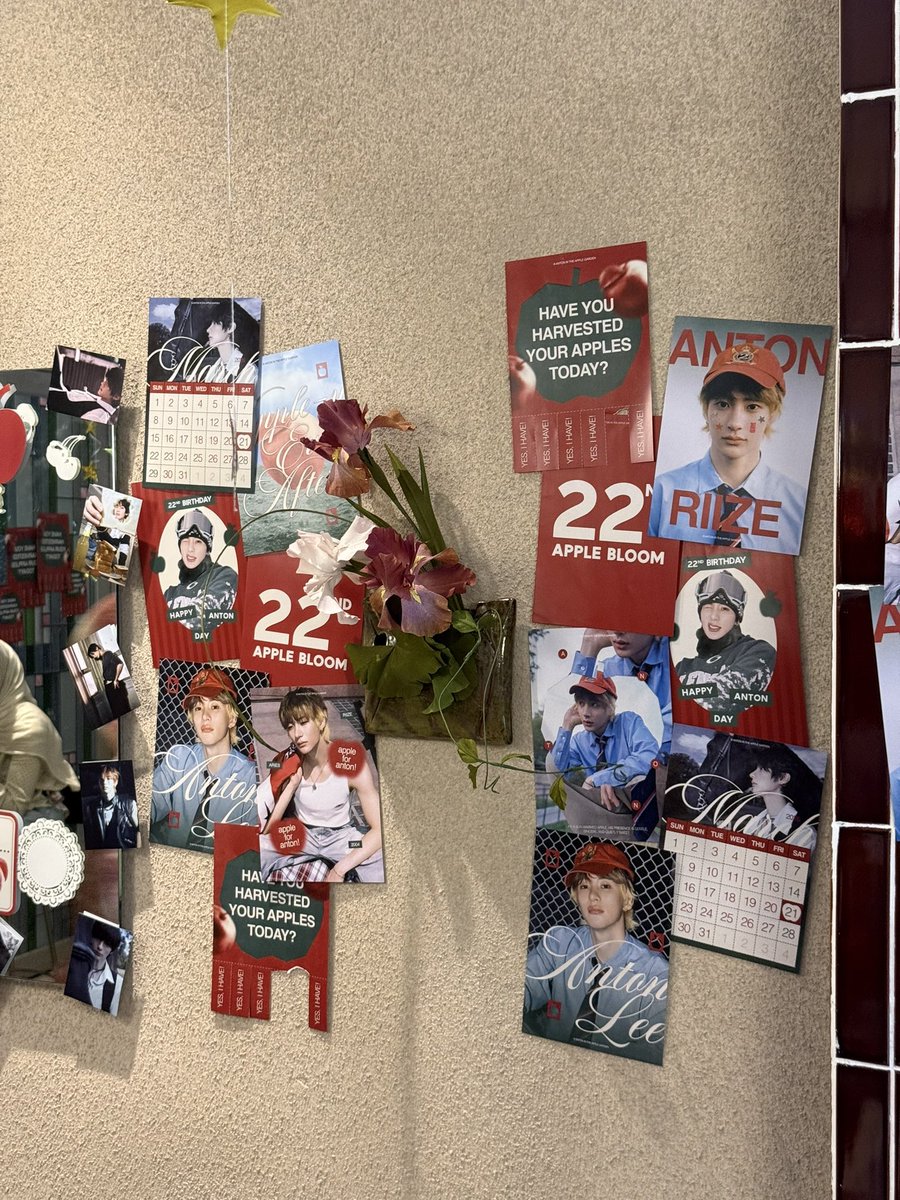 shay🌸 tweet media