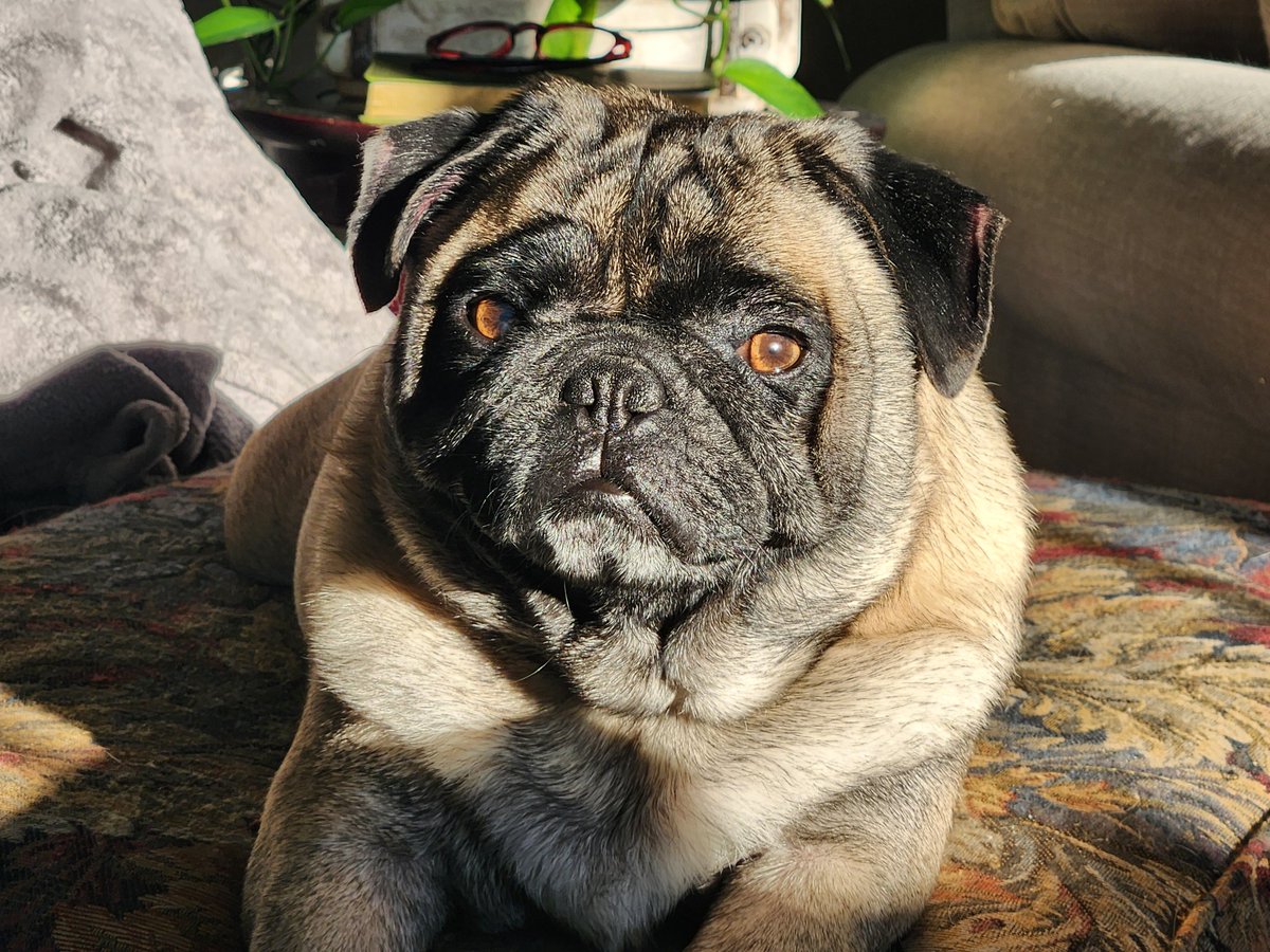 Jeff Carlton tweet media