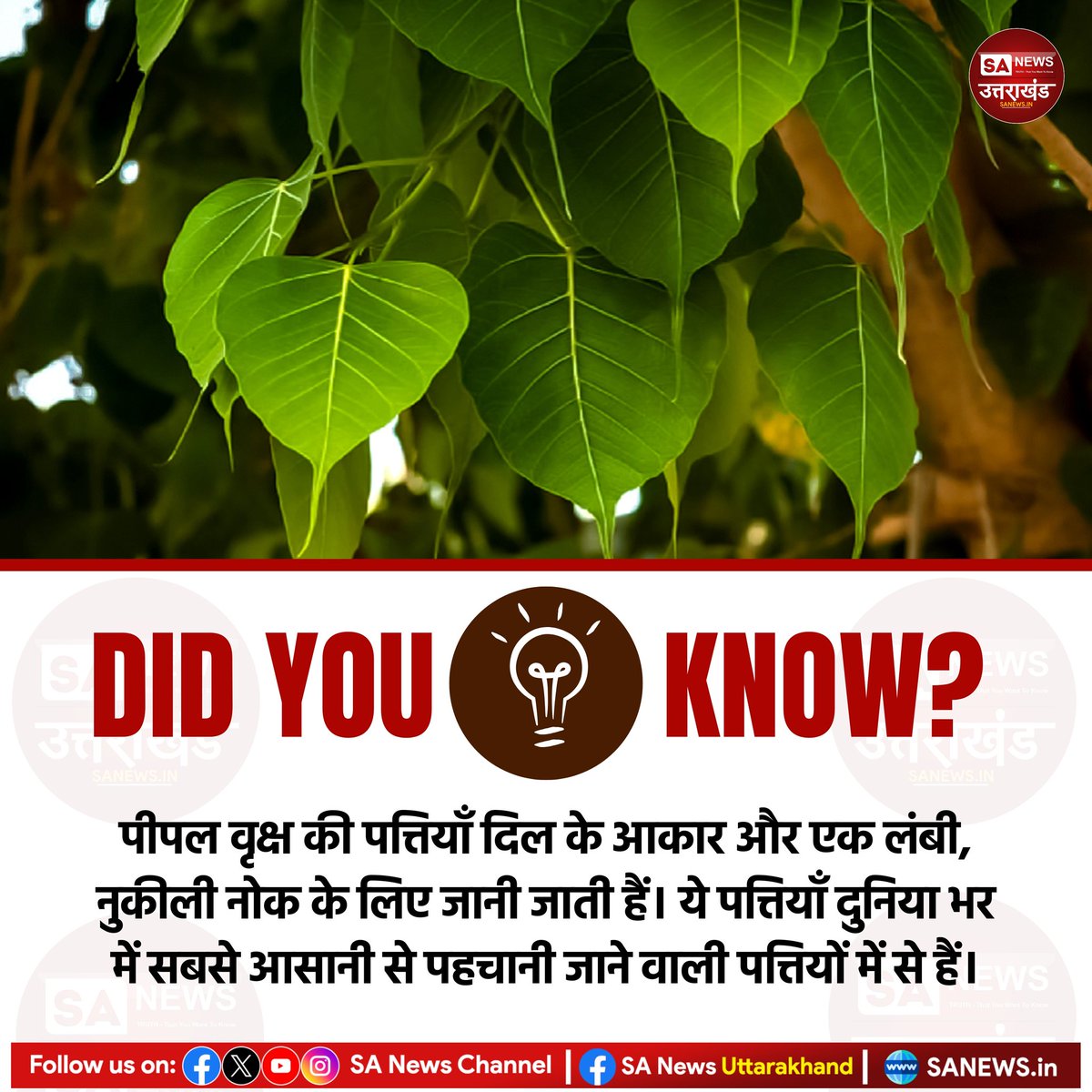 SANewsUK's tweet image. #amazingfact 
#sanewsuttarakhand