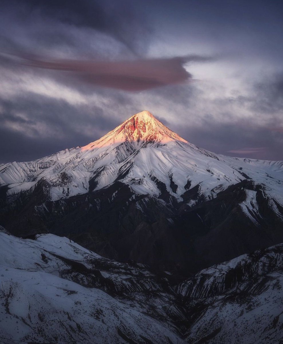 Bardia Garshasbi tweet media