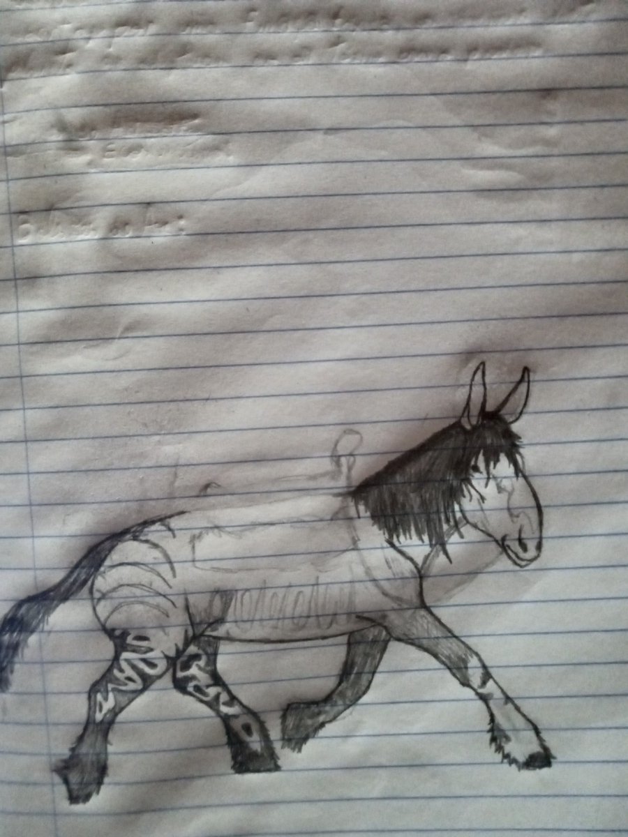 Capelobo_01 tweet media